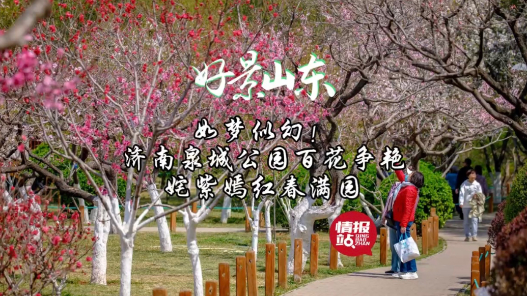 果然视频·好景山东|济南泉城公园百花争艳，姹紫嫣红春满园！