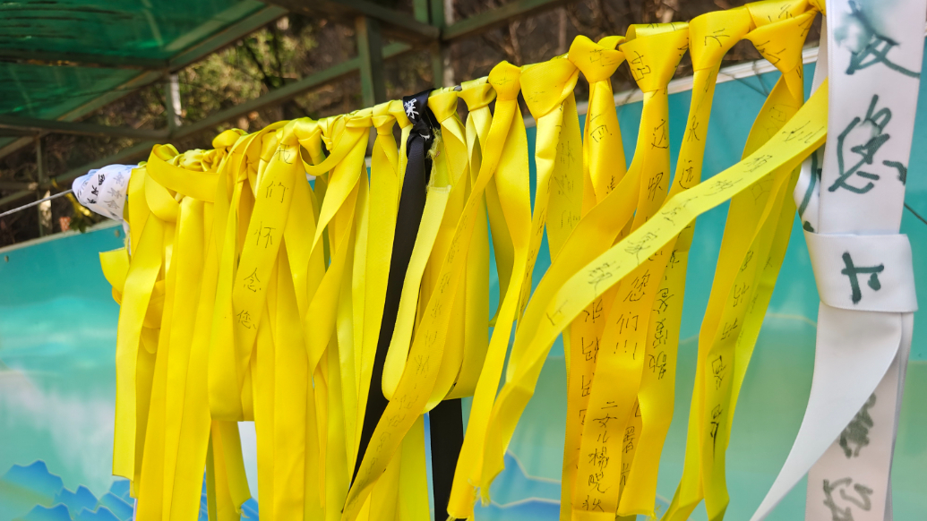 果然视频|鲜花、丝带寄哀思，济南市民文明祭扫成主流 
