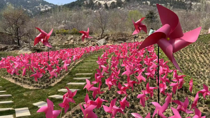清明节假期第一天，山东200家旅游景区共揽客247.3万人次