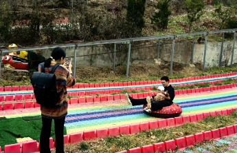 清明假期“解剖”红叶谷景区，游客以祭扫为主，下午出现客流高峰