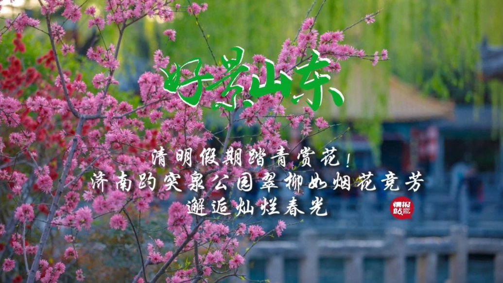 果然视频·好景山东|济南趵突泉翠柳如烟花竞芳，邂逅灿烂春光