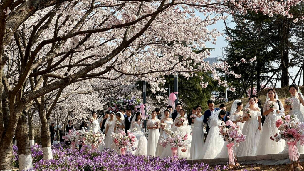 琴视频｜爱如海大，101对海大校友举办集体婚礼