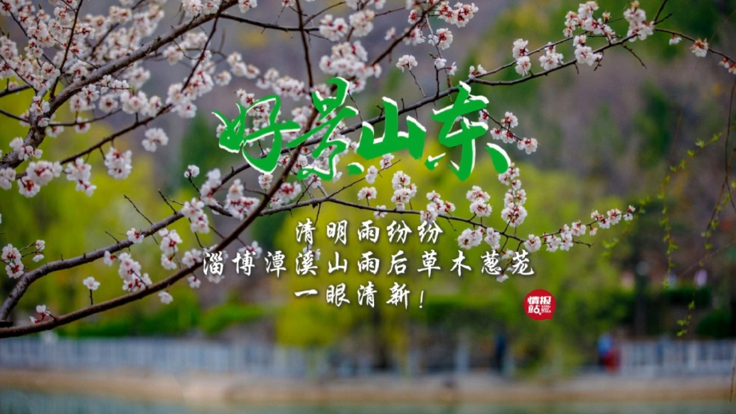 果然视频·好景山东|淄博潭溪山清明雨后草木葱茏，一眼清新！