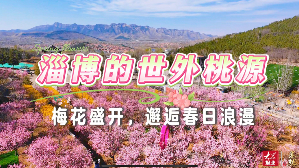 果然视频｜淄博的“世外桃源”！梅花盛开，邂逅春日浪漫