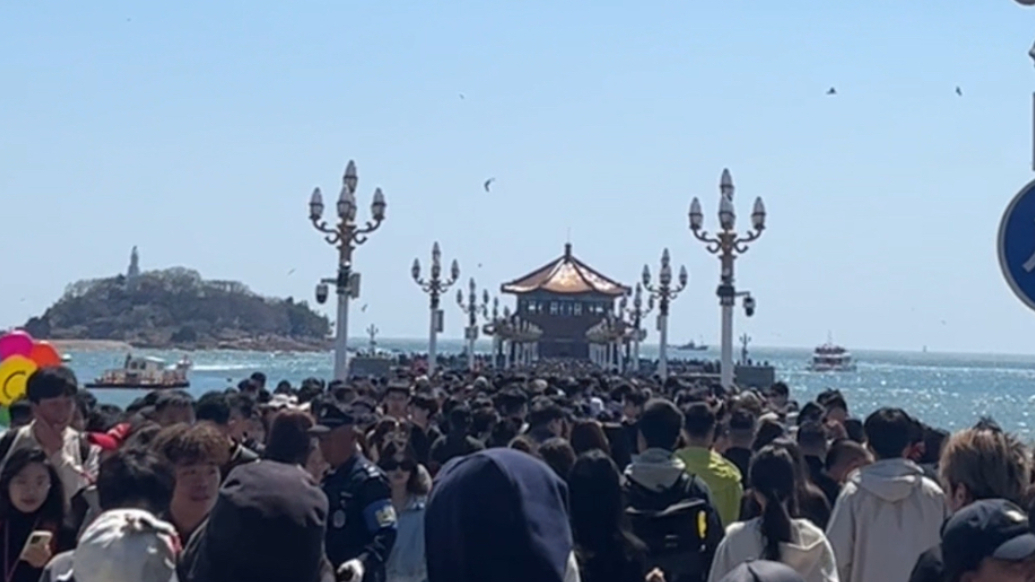 琴视频｜人比海鸥多！清明小长假青岛栈桥的人又“鼓”了