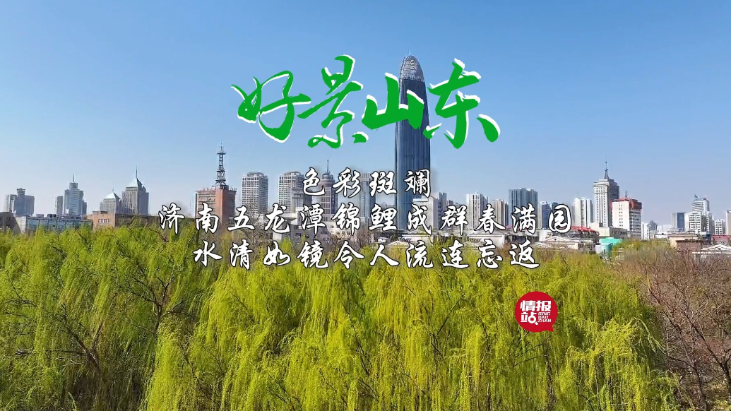 果然视频·好景山东|航拍！济南五龙潭锦鲤成群，水清如镜
