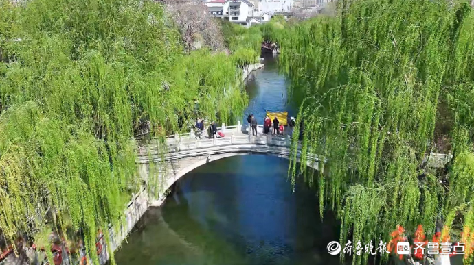 果然视频|济南护城河畔换新装，“头戴”花团的摊位亮相