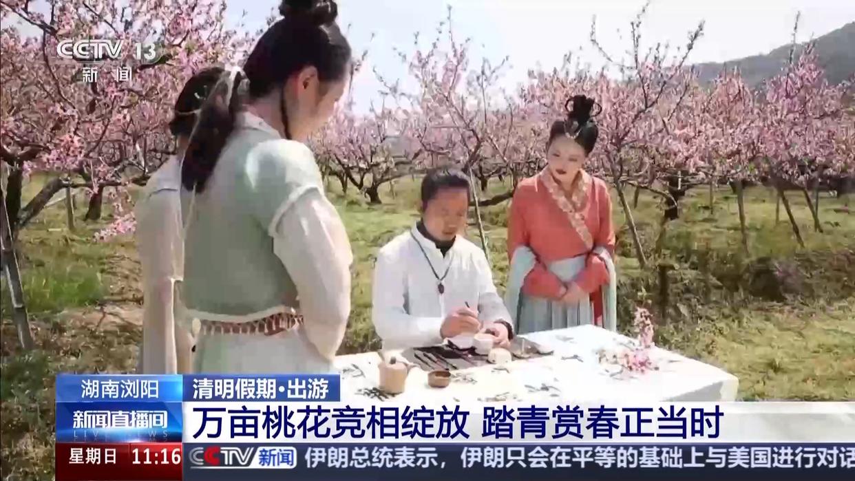 花海打卡、游园斗诗，清明踏青还有新玩法