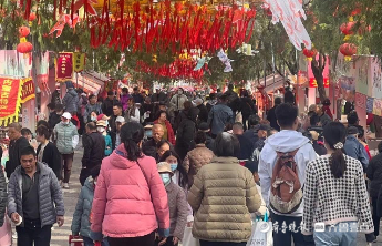 一年四季 泉在济南|济南九家公园景区清明待客56.68万人次