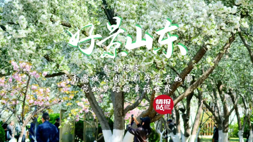果然视频·好景山东|泉城公园山荆子花开如雪，宛如梦幻童话世界