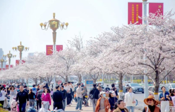 坐着齐鲁1号游山东⑥丨打卡风筝故乡，山海潍坊