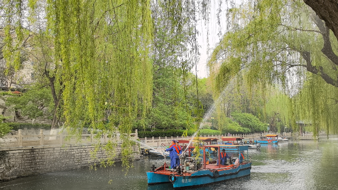 多地飞絮大作战，治理手段五花八门效果如何