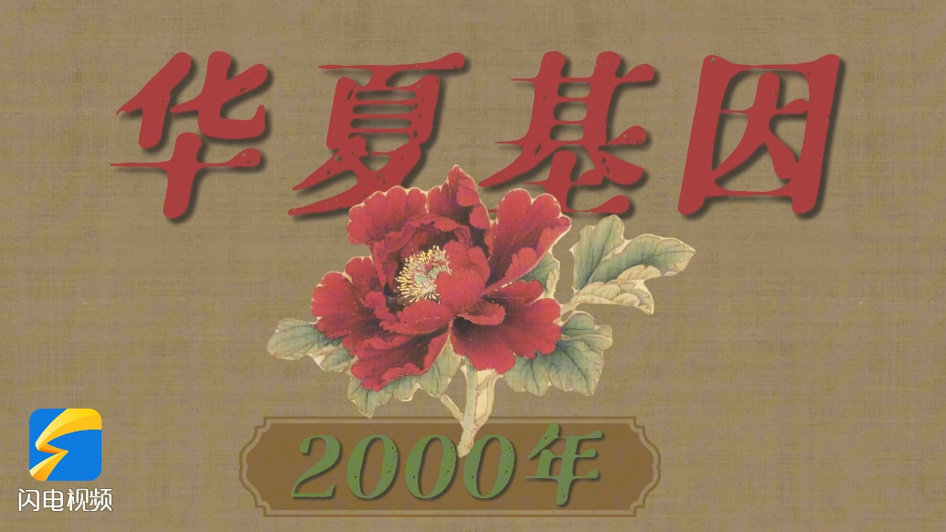 何人不爱牡丹花