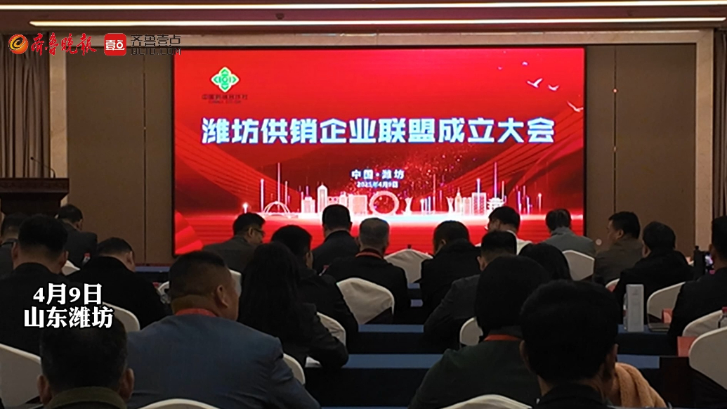 果然视频|潍坊供销企业联盟揭牌成立