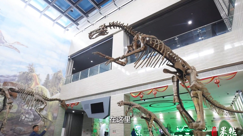 景区老总抢麦丨莱阳白垩纪国家地质公园：邀你赏花游景，与龙同行