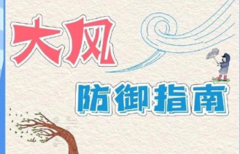 警惕极端大风天气，这份防范指南请收藏