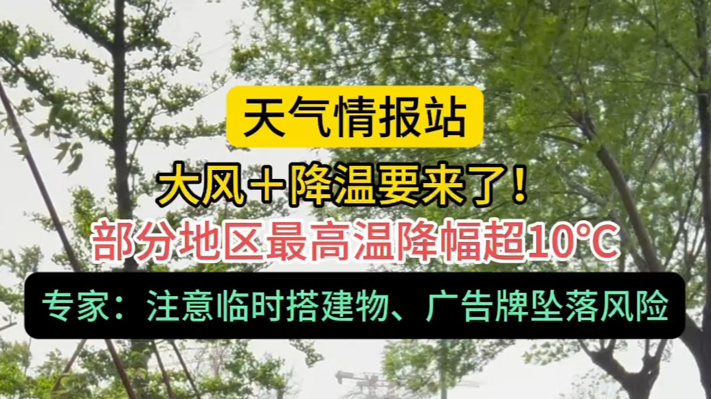 天气情报站|大风来了！专家：广告牌等有倒塌坠落风险，注意防范