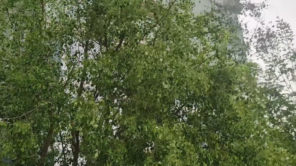 果然视频|济南大风即将要来，请注意防范