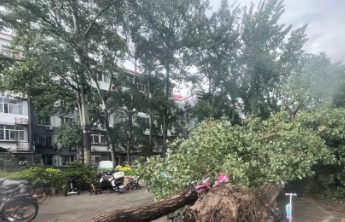 北京市强风持续，最大阵风风速达14级