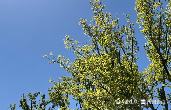 最新预报：今日济南大风时段主要集中在11时至19时