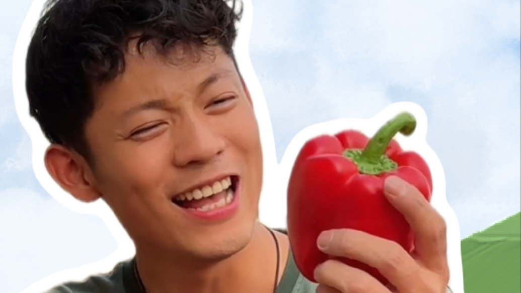 果然视频·新农人|买房钱投进大棚，金融大学生变身“彩椒大王”