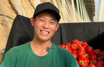 新农人|把买房子的钱投进大棚，金融大学生变身“彩椒大王”