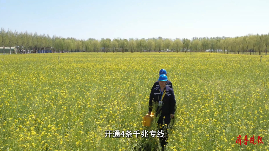果然视频丨首届山东绿色蔬菜产业博览会开幕，临沂移动做好保障