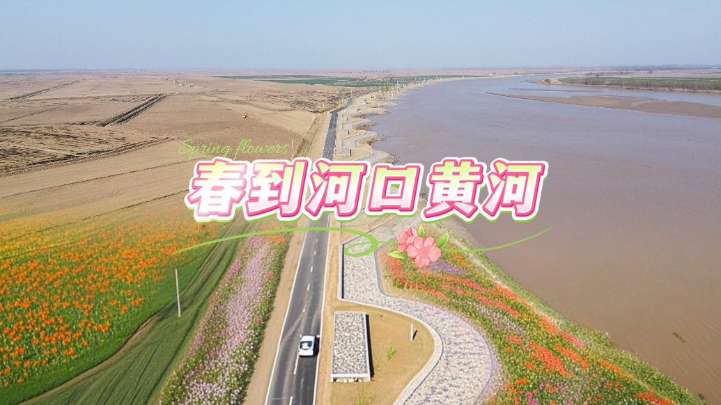 春到河口黄河