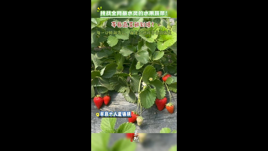 挑战全网最水灵的水果蔬菜！莘县蔬菜鲜到爆