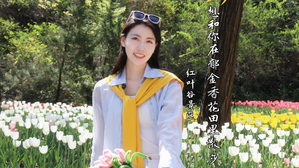 珂壹游｜缺个搭子赏郁金香？红叶谷春日之旅就差你啦