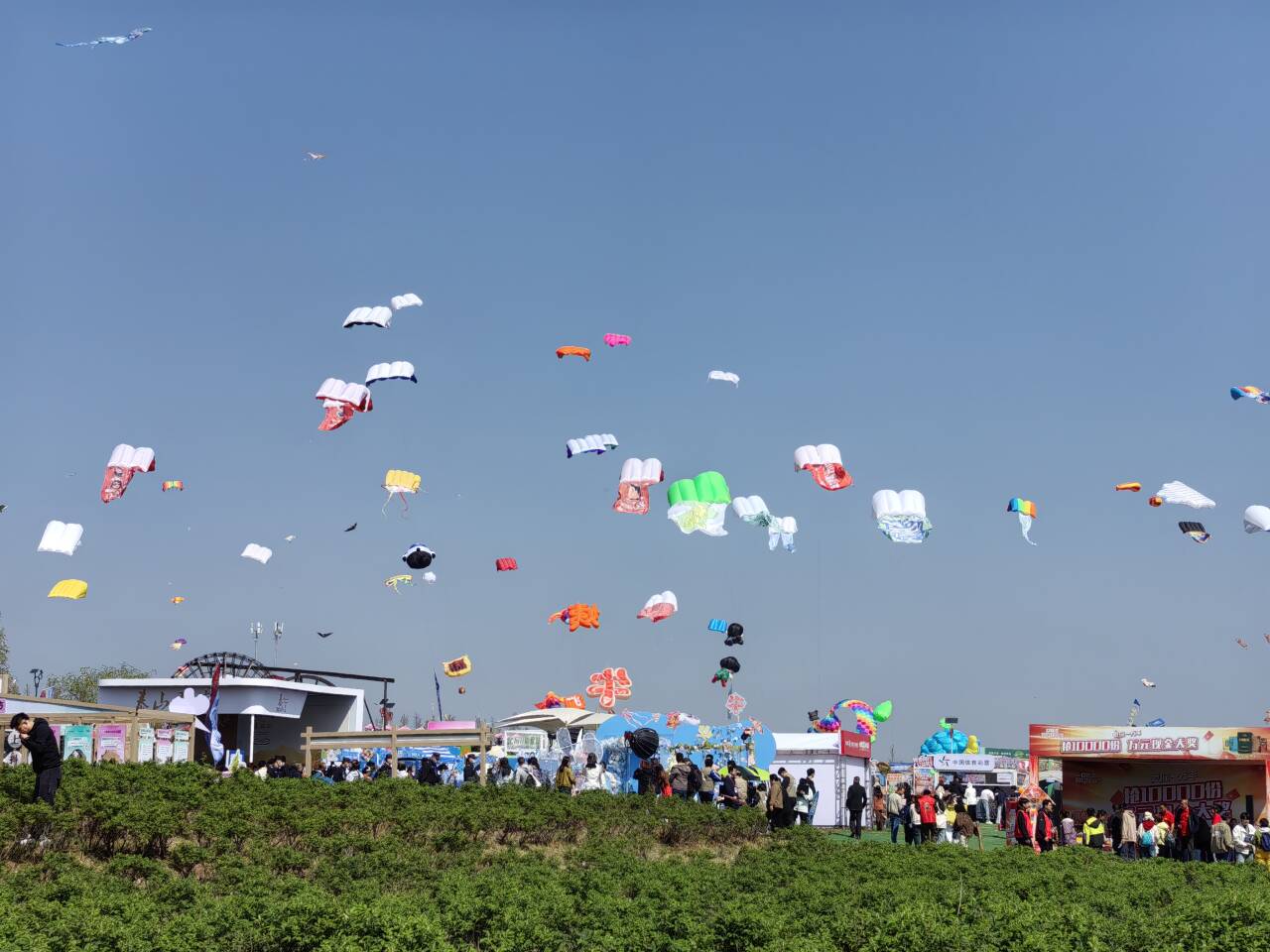 又见风筝飞满天，第42届潍坊国际风筝会启幕