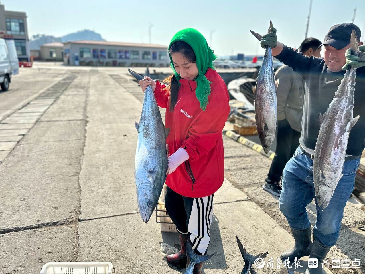 微纪录·青岛故事丨从浪尖到舌尖，青岛鲅鱼漂流记
