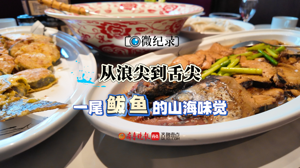 微纪录·青岛故事丨从浪尖到舌尖，一尾鲅鱼的山海味觉