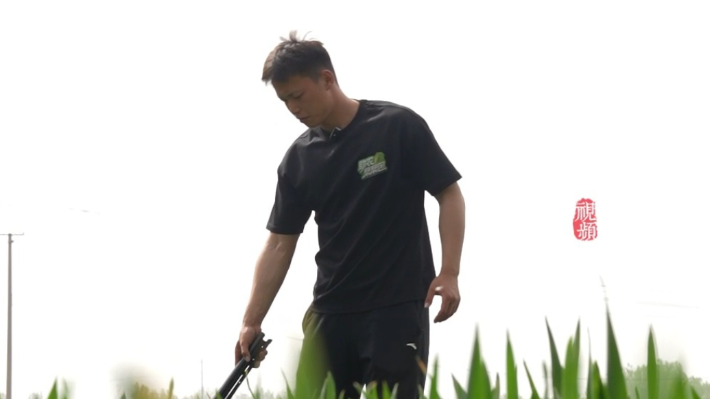 果然视频·新农人｜放弃保研回村当农民，聊城小伙的反转人生