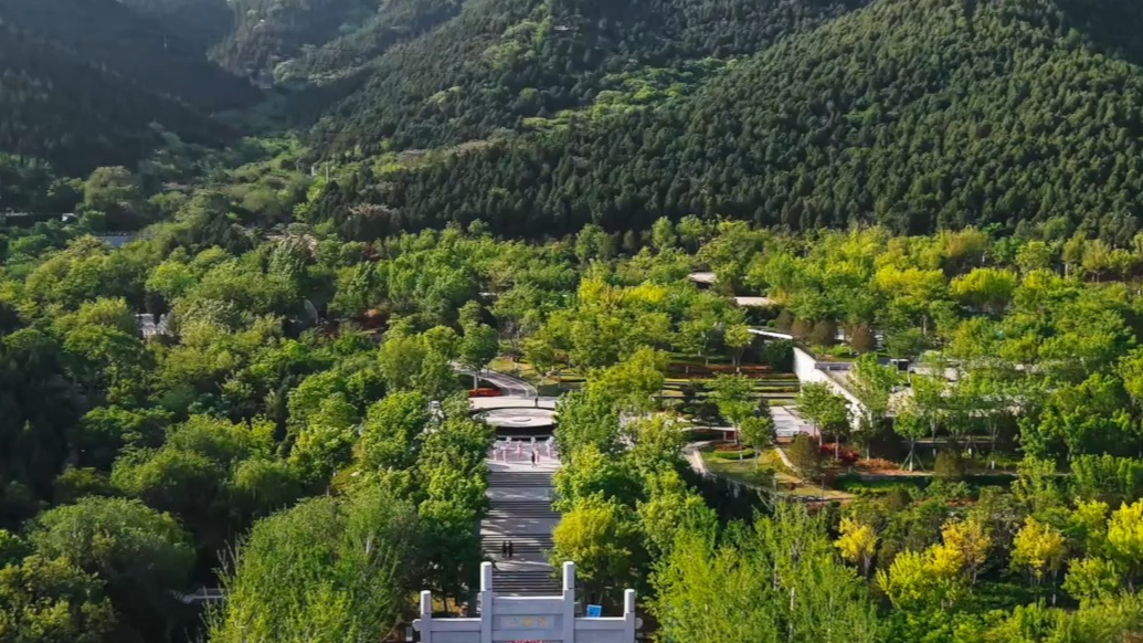 千年佛慧 遇“健”热爱，2025保利佛慧山公益健步行活力开跑