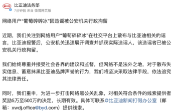 比亚迪持续打击黑公关，一造谣者被公安机关行政拘留