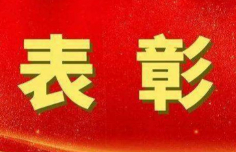山东119人获全国劳动模范和先进工作者表彰