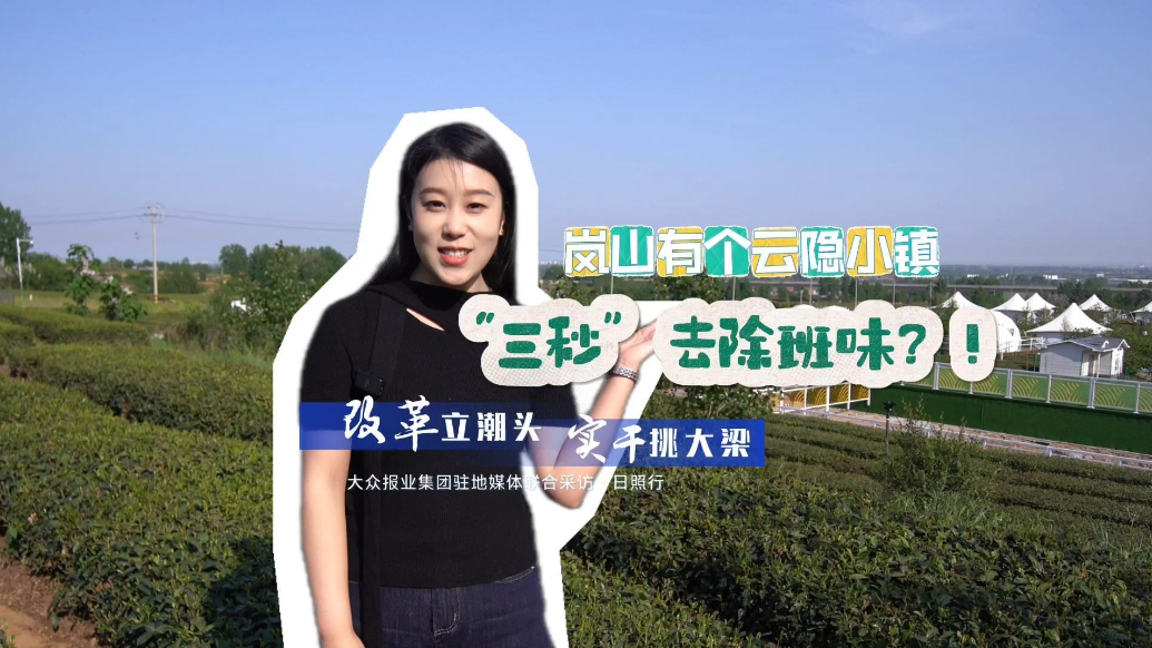 果然视频丨藏不住了！日照市岚山区这个诗意十足的小镇你来过吗？