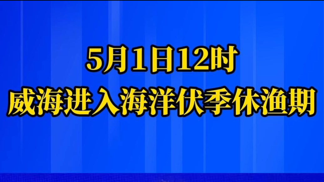 果然视频｜5月1日12时，威海进入海洋伏季休渔期