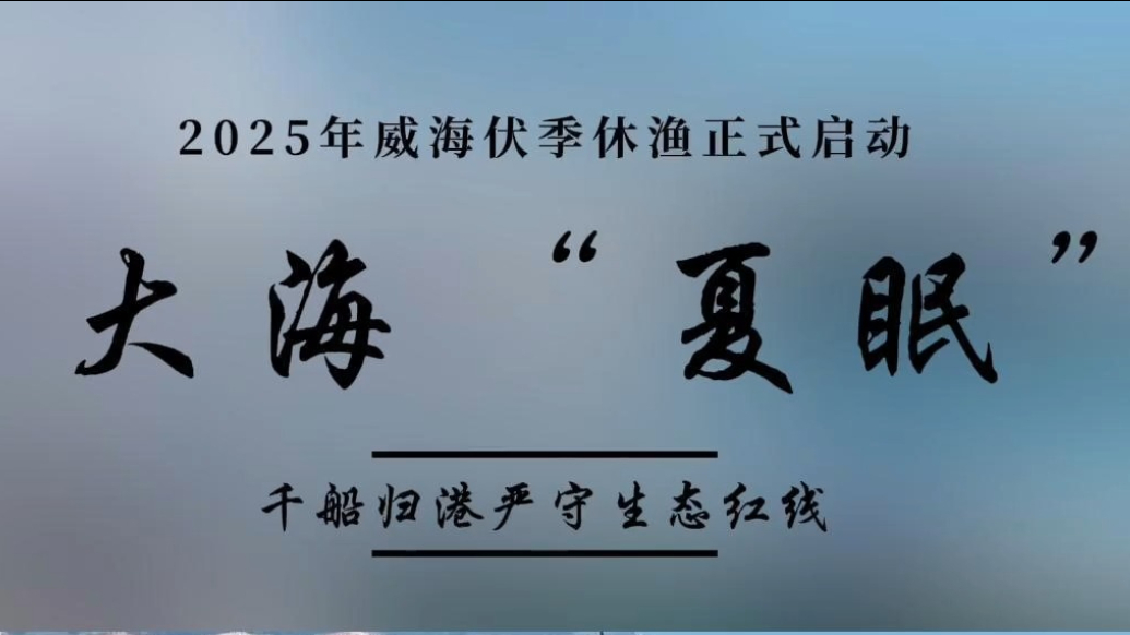 果然视频｜大海“夏眠”：千艘渔船归港休整
