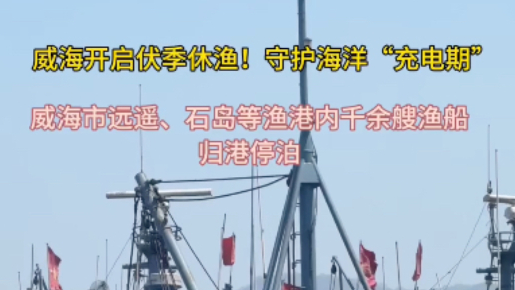 果然视频丨威海开启伏季休渔！守护海洋“充电期”