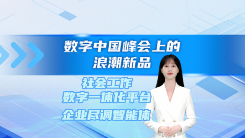【数字中国峰会上的浪潮新品】跟随AI数字人主播，了解社会工作数字一体化平台和企业尽调智能体
