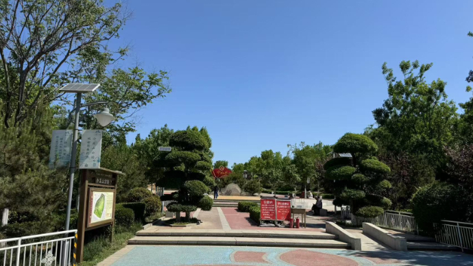 壹直播|走进济南小东山公园，赏绿意盎然，品城市慢生活
