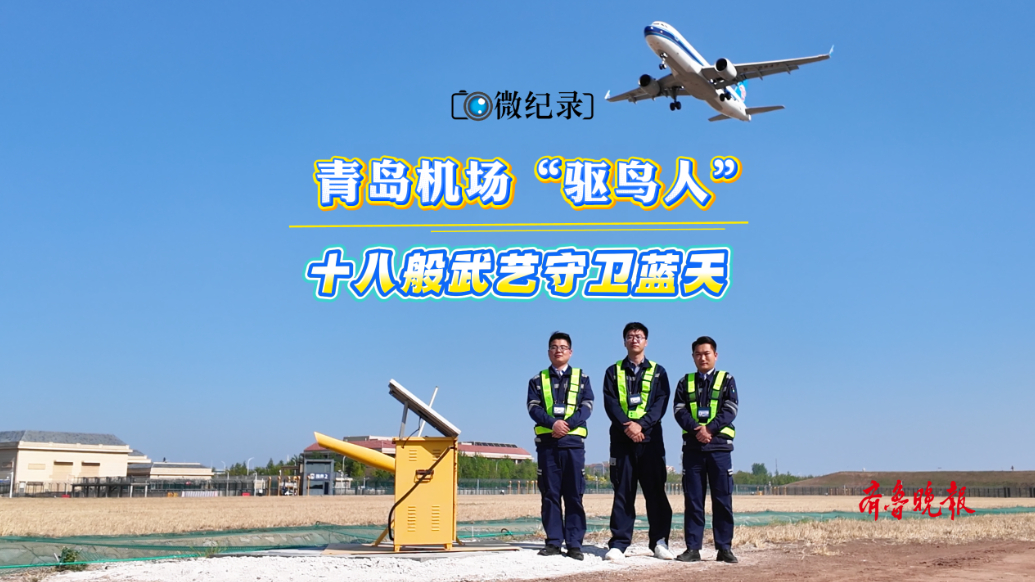 微纪录·最青岛｜探寻青岛·读懂青岛