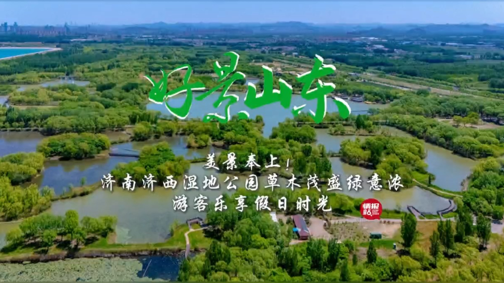 果然视频·好景山东|济南济西湿地公园绿意浓，游客乐享假日时光