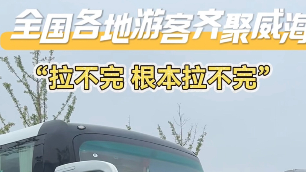 果然视频丨全国各地游客齐聚威海，车流如织见证假期火热人气