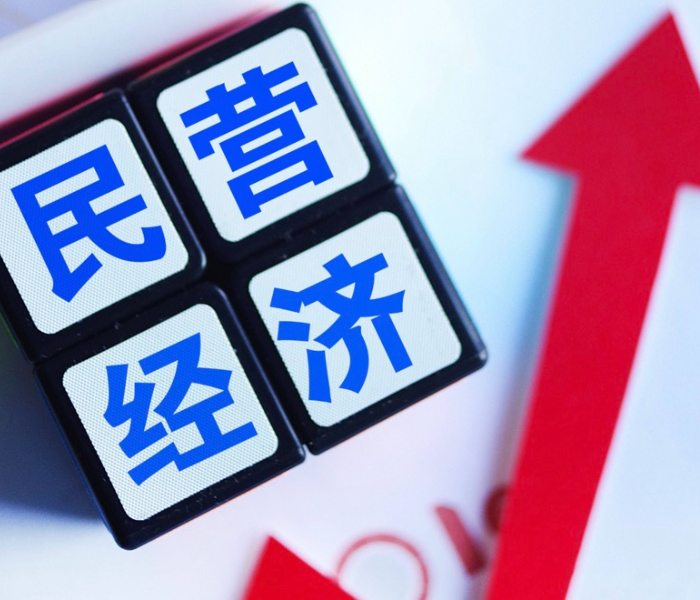 2025年5月8日（星期四）上午10时，国务院新闻办公室举行新闻发布会，邀请司法部副部长王振江和全国人大常委会法工委、国家发展改革委、金融监管总局、全国工商联负责人介绍《中华人民共和国民营经济促进法》有关情况，并答记者问。