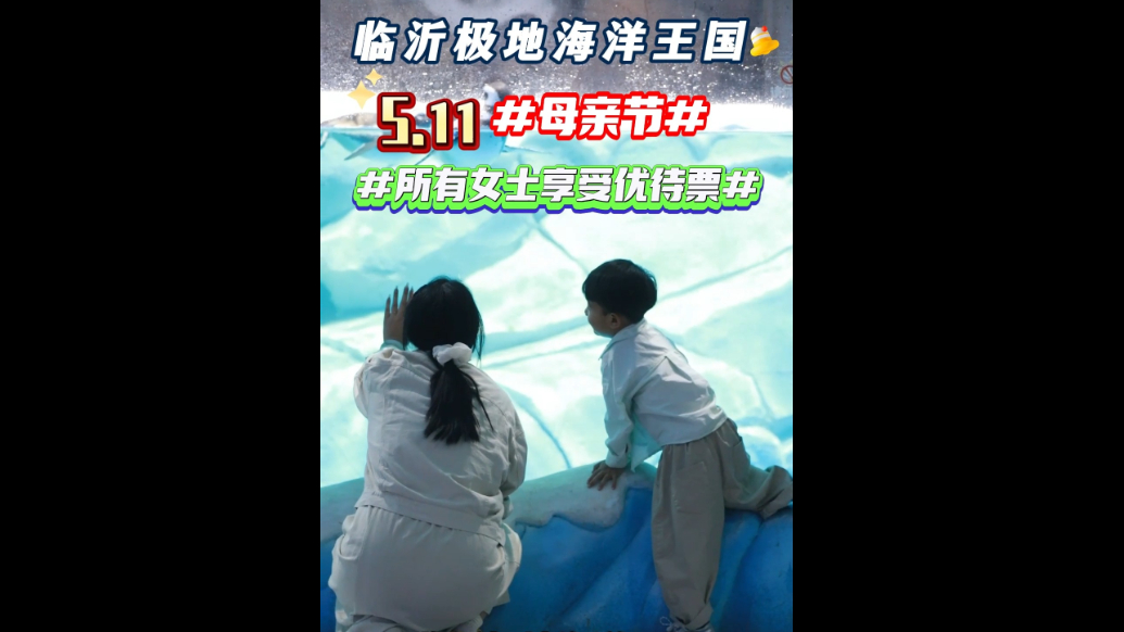 果然视频|临沂极地海洋王国推出母亲节专属福利，女生享受优待票