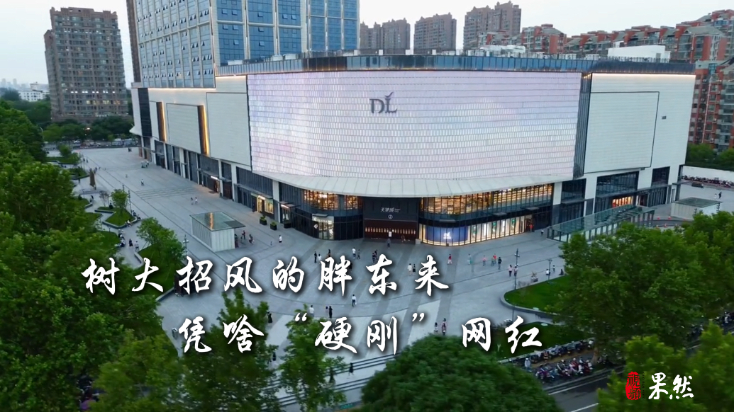 果然视频·壹点探针|树大招风的胖东来凭啥“硬刚”网红？