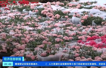 康乃馨、芍药热卖，母亲节多地鲜花销售火爆